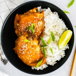 Instant pot honey garlic chicken boneless thighs recipes - Instant pot