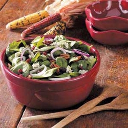 Lunch - Spinach salad with toasted pecans and cranberries recipes
